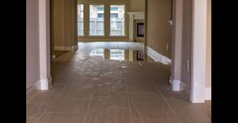 Essential Insurance Coverages: Water Back-Up and Sump Overflow Endorsement